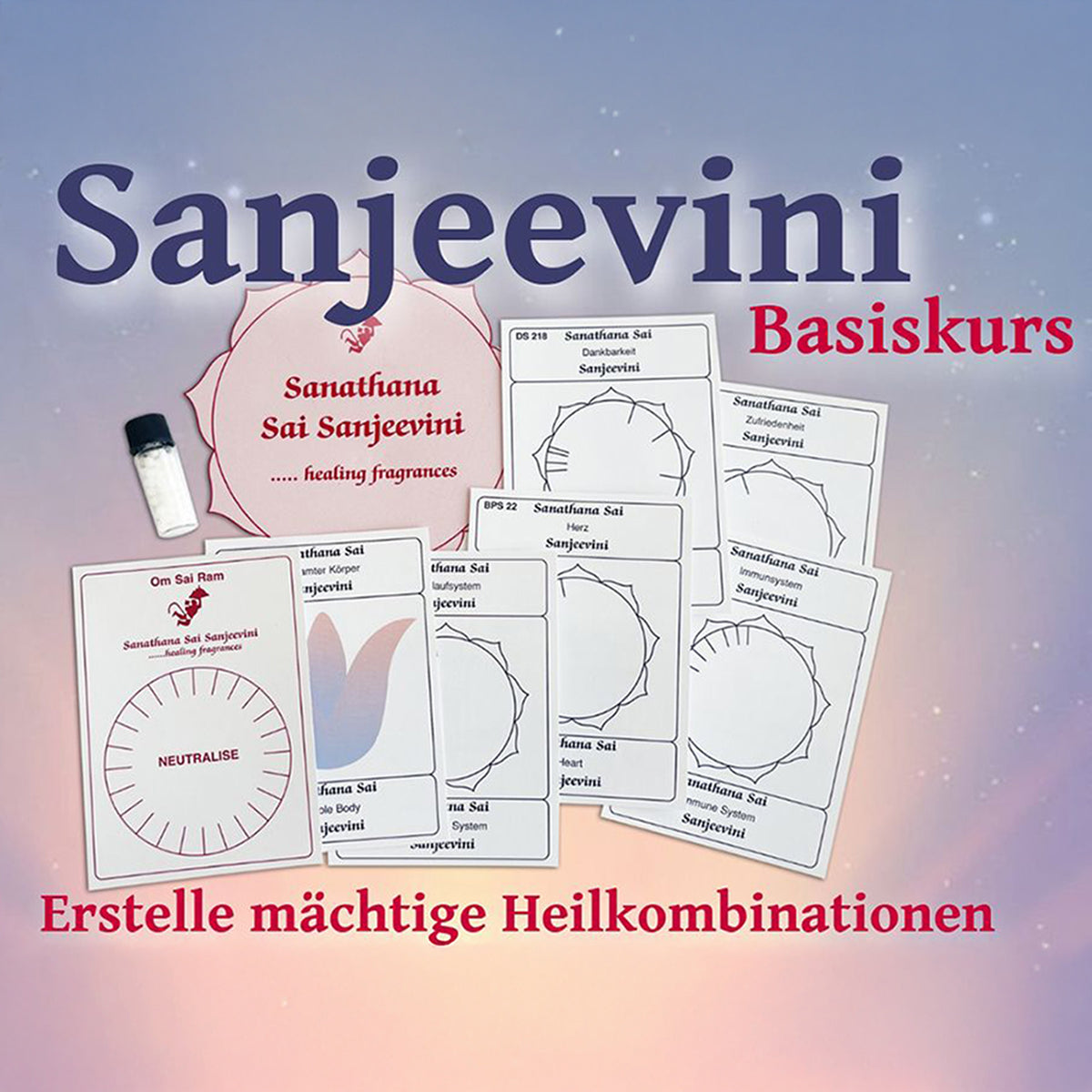 Kurs: Sanjeevini Basis Kurs