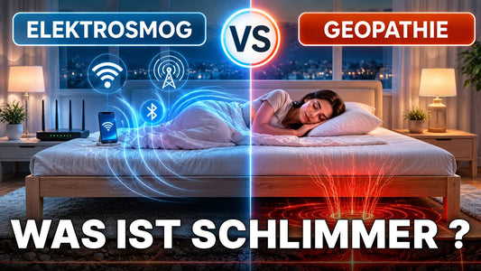 Was ist schlimmer für deinen Körper: Elektrosmog oder Geopathie?