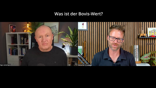 Was ist der Bovis-Wert?