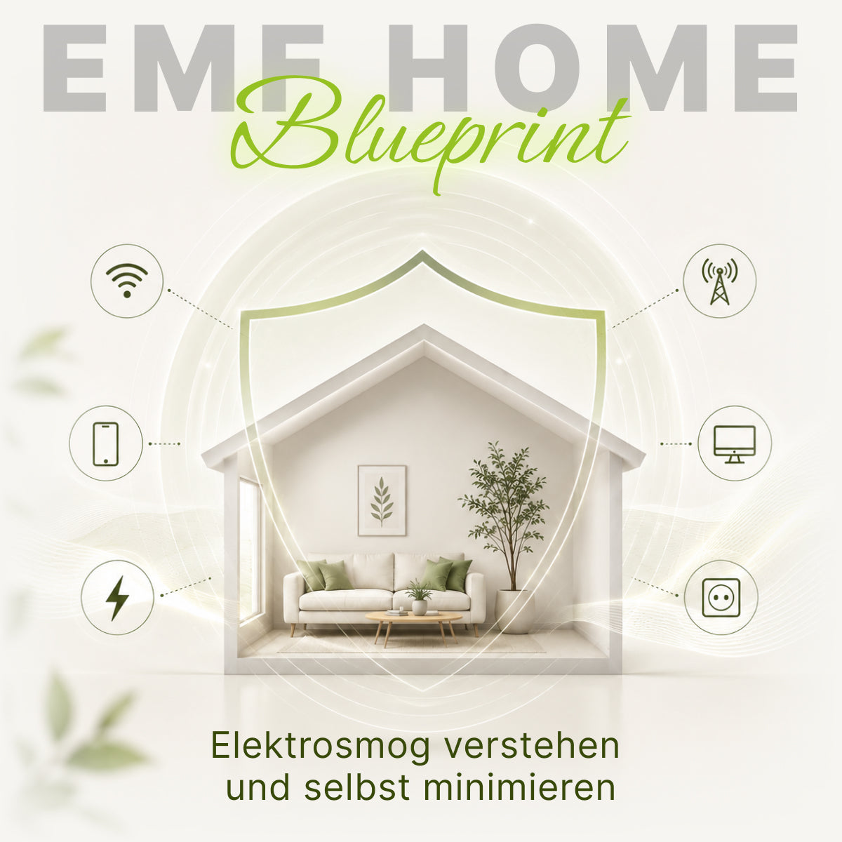 Kurs: EMF Home Blueprint – Elektrosmog verstehen und selbst minimieren