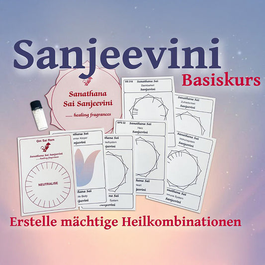 Course: Sanjeevini Basic Course